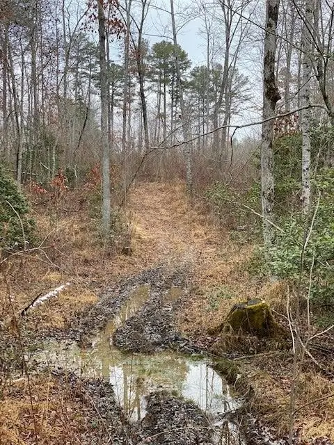 5 Colony Road, Gruetli Laager, TN 37339 - Image #2