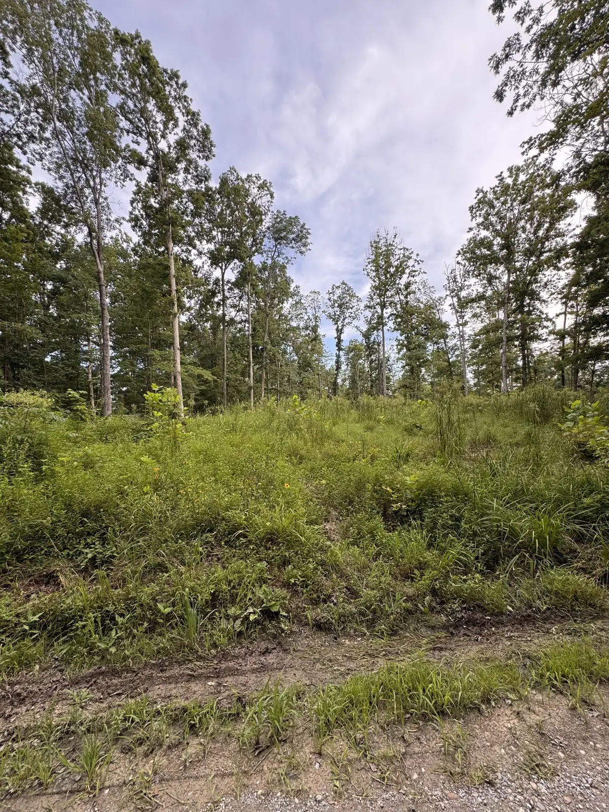 0 Old Lockhart Rd, Tennessee Ridge, TN 37178 - Image #1