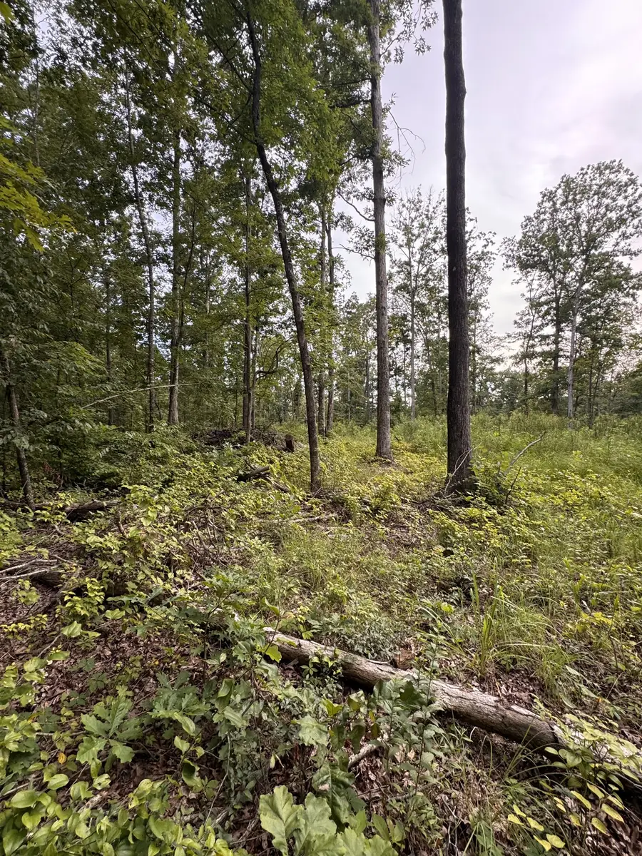 0 Old Lockhart Rd, Tennessee Ridge, TN 37178 - Image #3