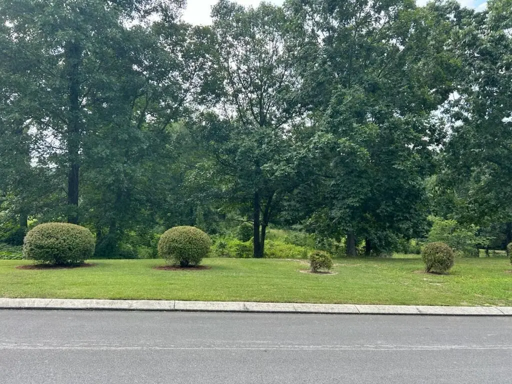 0 Fieldstone Drive, Tunnel Hill, GA 30755 - #1