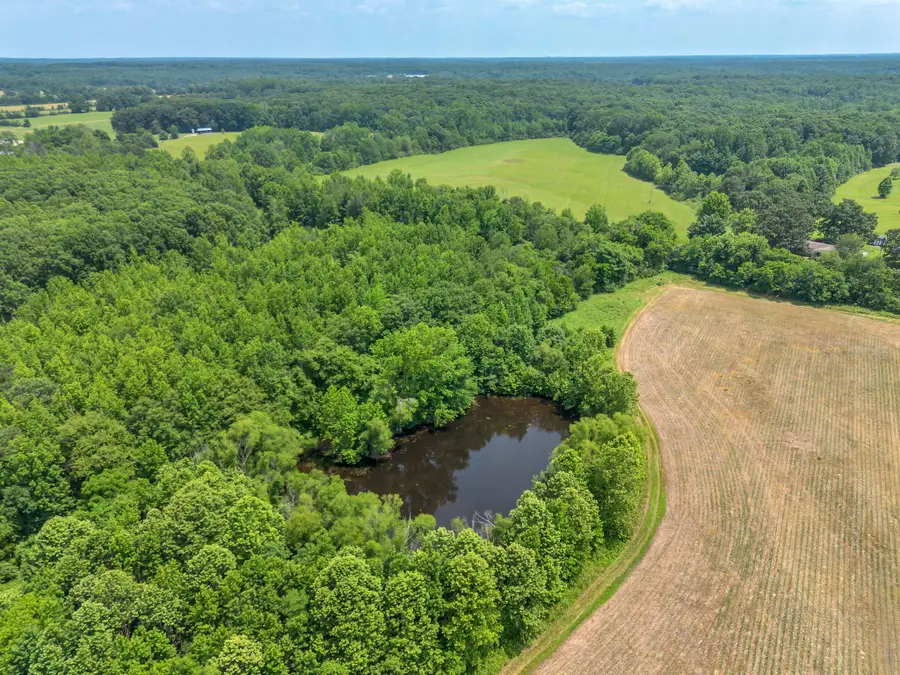 1 Hurricane Creek Rd, Lawrenceburg, TN 38464 - Image #2