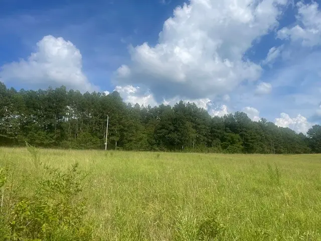 0 Tennessee Ridge Road, Waverly, TN 37185 - Image #2