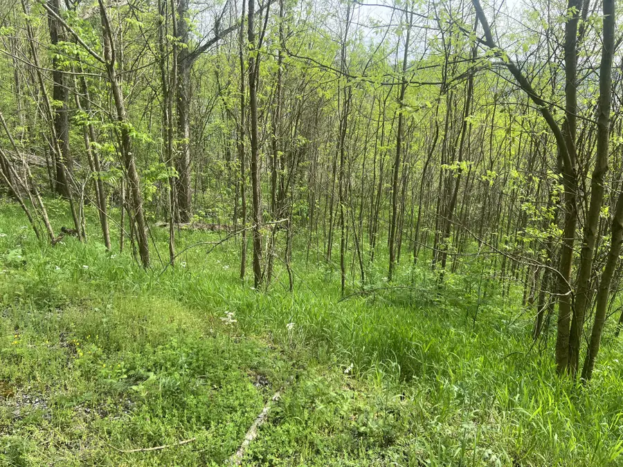 0 Eli Ln, Baxter, TN 38544 - #2