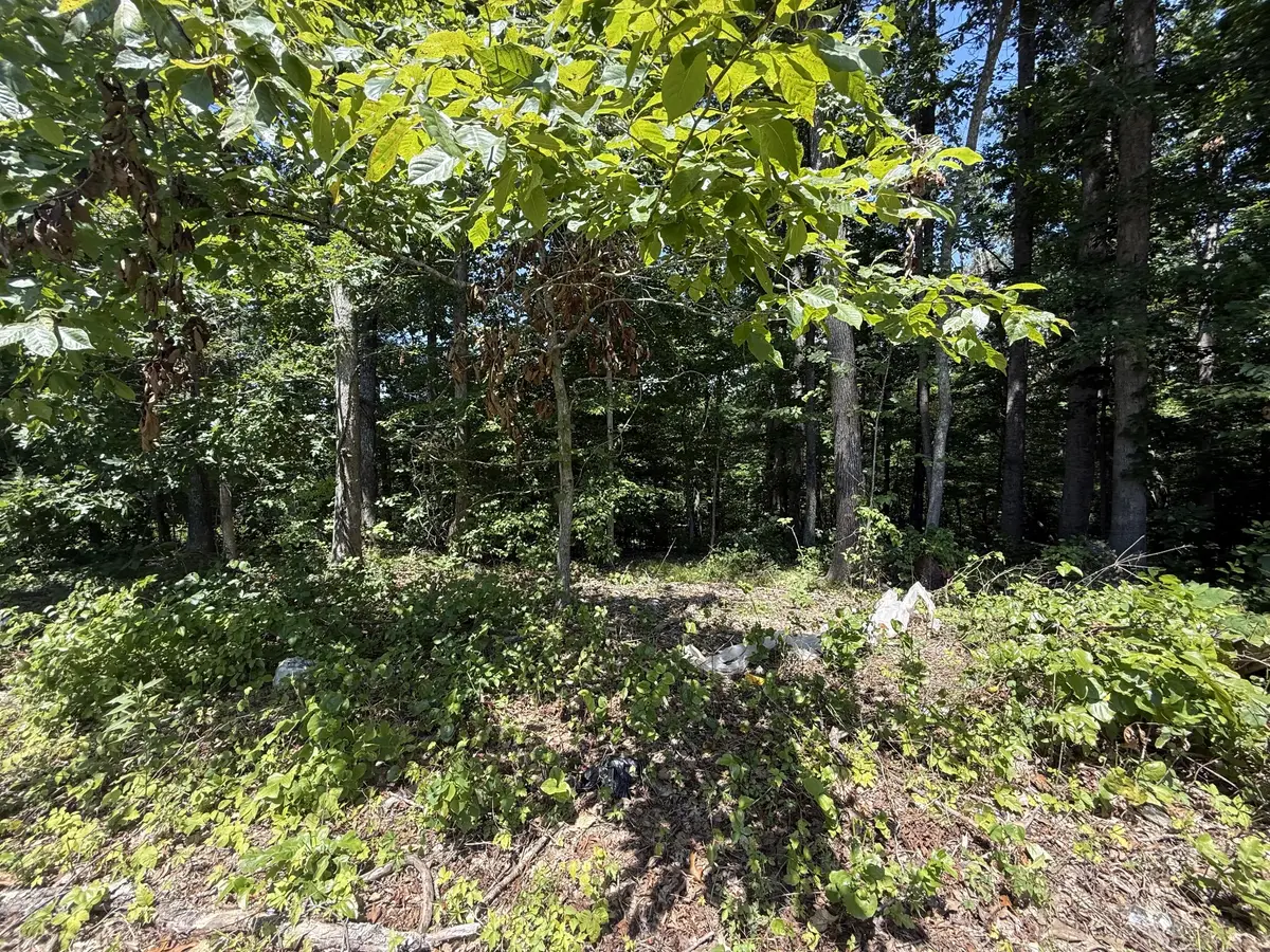 0 Trailwood Ct, Joelton, TN 37080 - Image #1