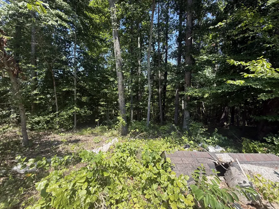 0 Trailwood Ct, Joelton, TN 37080 - Image #3