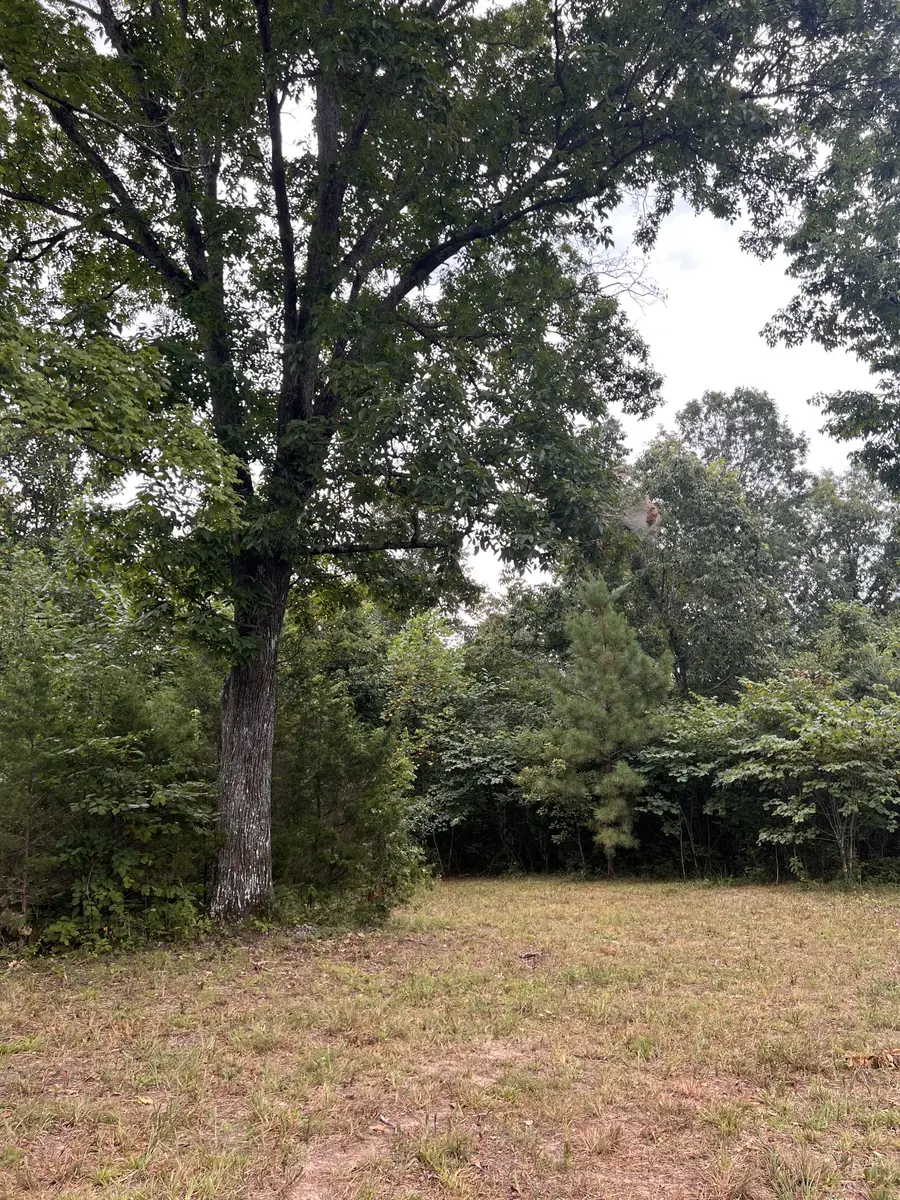 0 High Rise Dr, Lyles, TN 37098 - Image #2