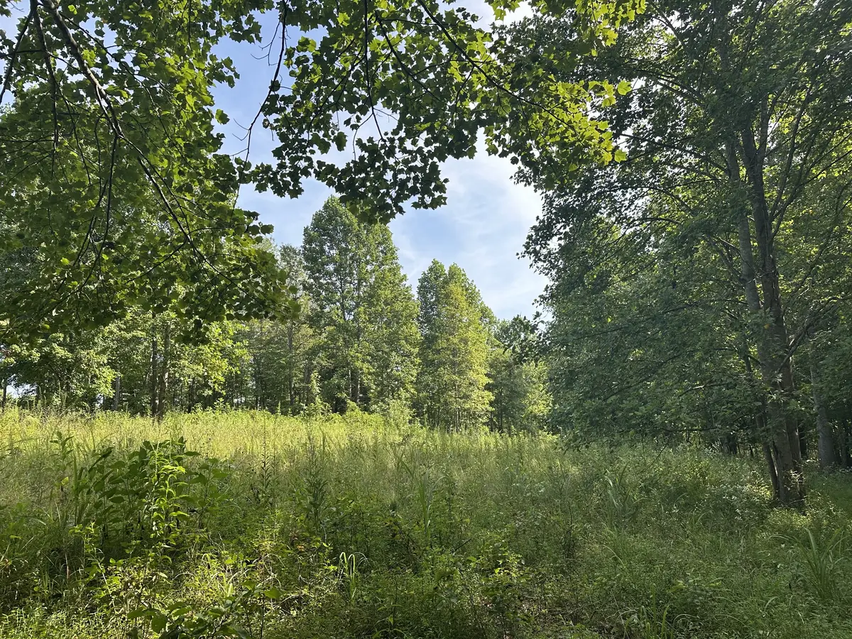 0 Keytown Road, Portland, TN 37148 - Image #1