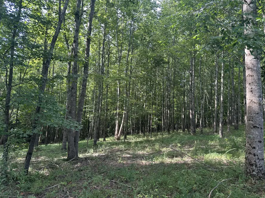 0 Keytown Road, Portland, TN 37148 - Image #2