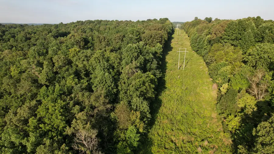 0 Rock Springs Rd, Cumberland Furnace, TN 37051 - Image #3