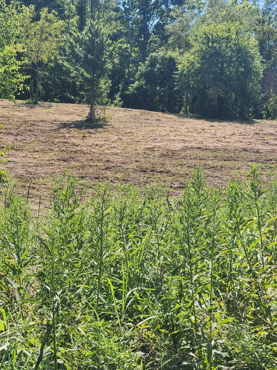 0 Hix Road, Gordonsville, TN 38563 - Image #2