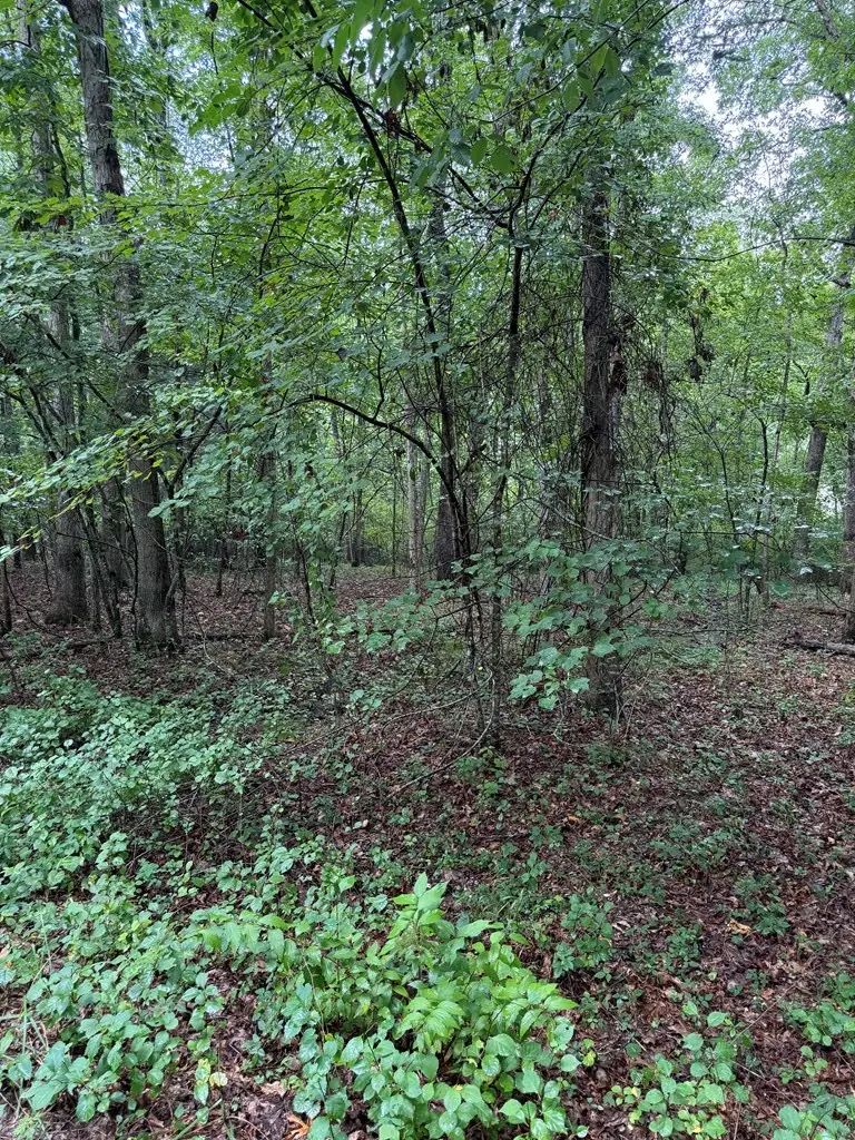 929 Kemah Ln, Crossville, TN 38572 - Image #3