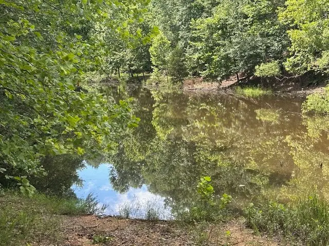 11 Wildwood Lane, Nunnelly, TN 37137 - Image #3