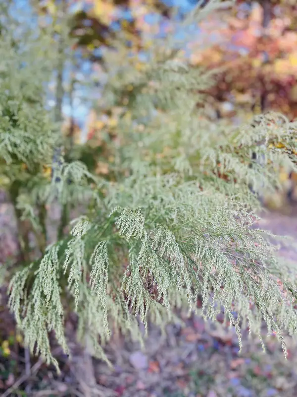 0 Hidden Highlands Ct, Mc Ewen, TN 37101