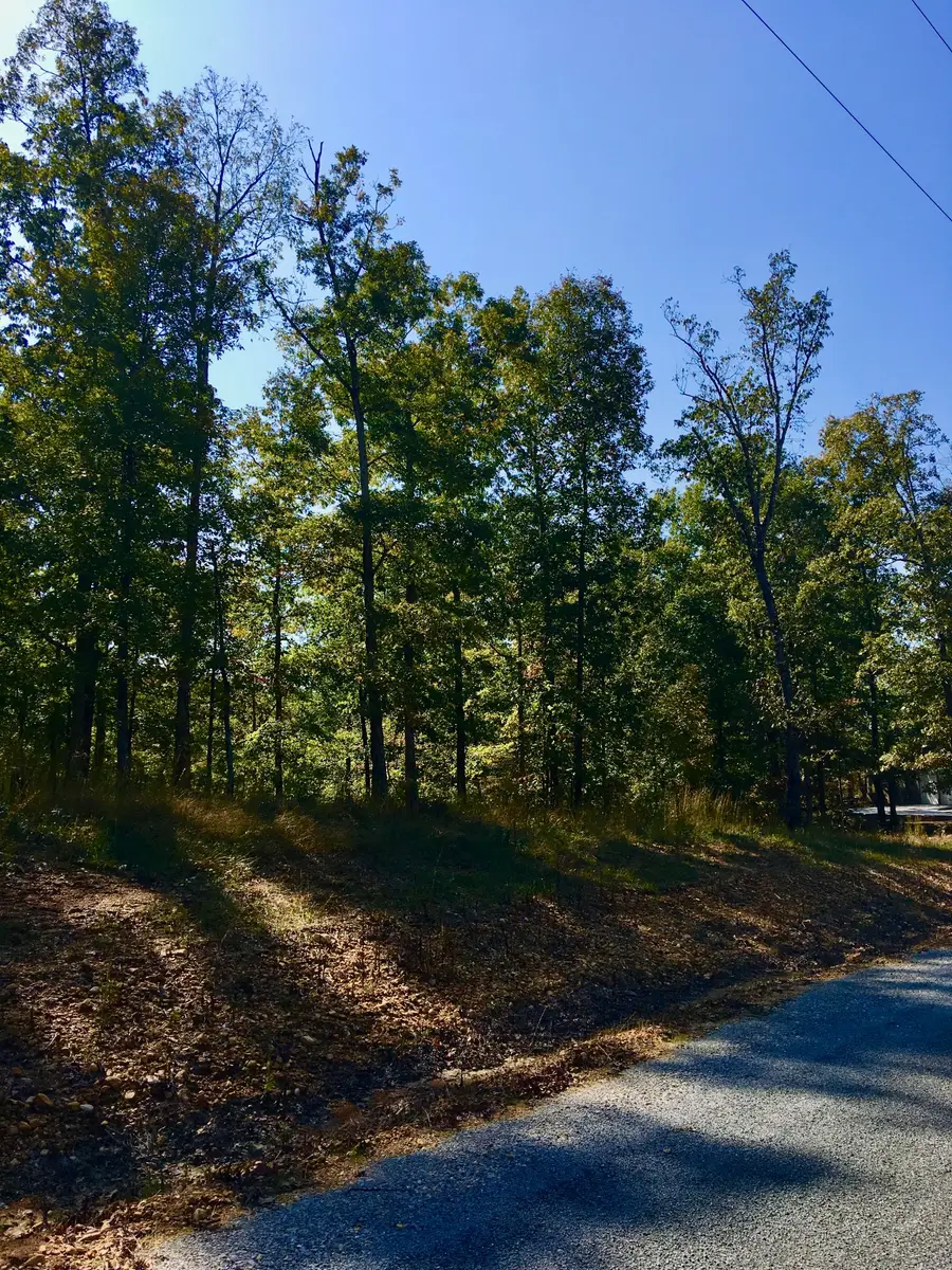 0 Hidden Highlands Ct, Mc Ewen, TN 37101 - Image #3