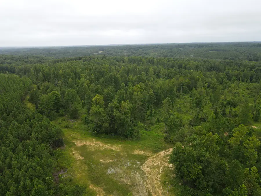 0 Old Highway 18, Stewart, TN 37175 - Image #2