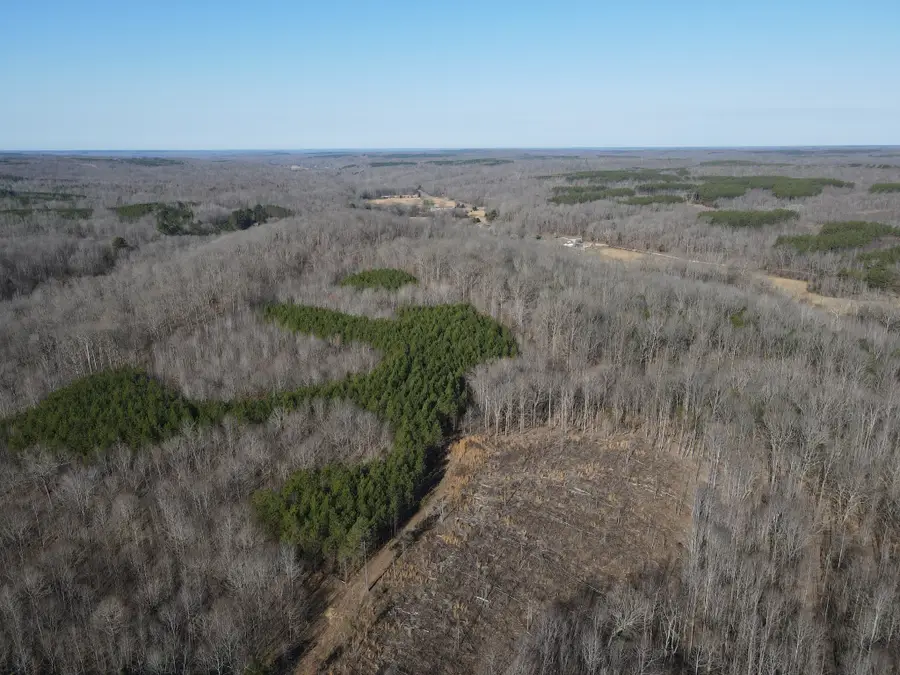 0 Old Highway 18, Stewart, TN 37175 - Image #2