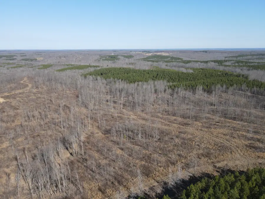 0 Old Highway 18, Stewart, TN 37175 - Image #2