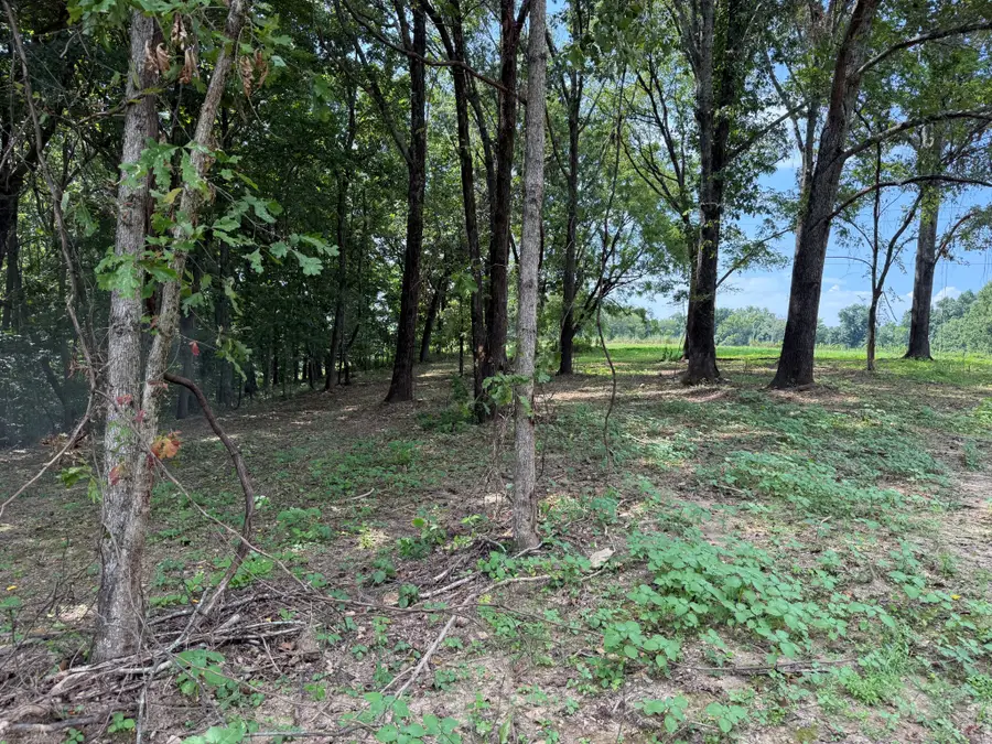 12A Bunker Hill Road, Pulaski, TN 38478 - Image #3