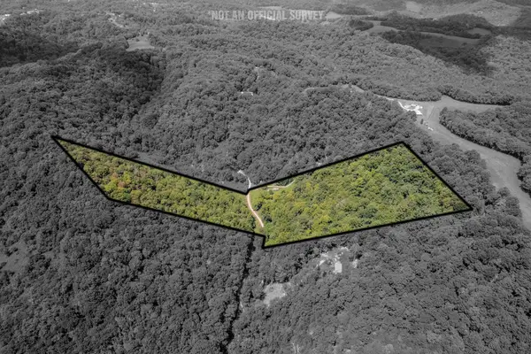 0 Watts Hollow Rd, Buffalo Valley, TN 38548