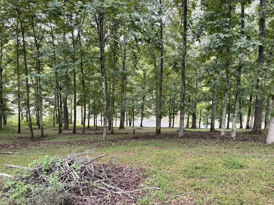 0 Cove Ln, Lawrenceburg, TN 38464 - Image #3