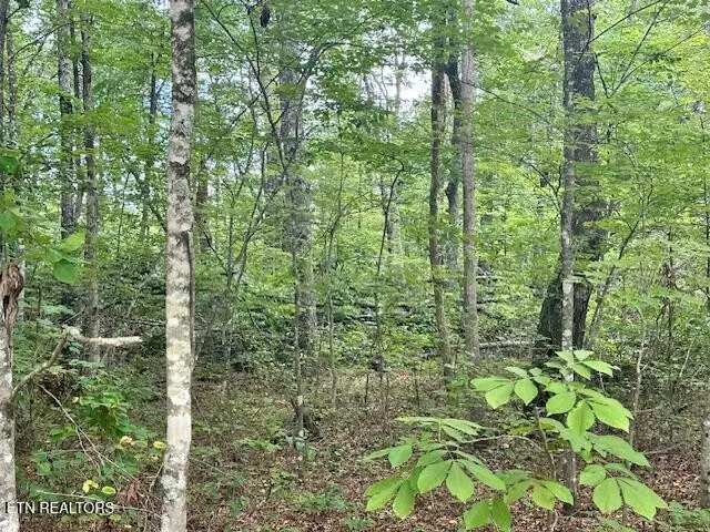 142 Mariners Drive, Crossville, TN 38558 - Image #2