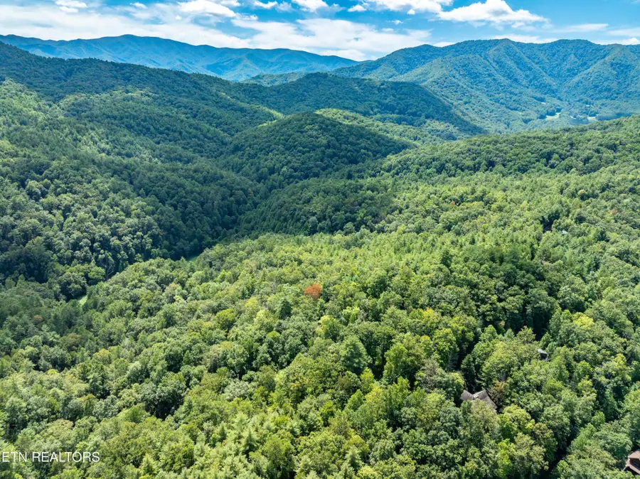 864 Stonegate Way, Townsend, TN 37882 - Image #2