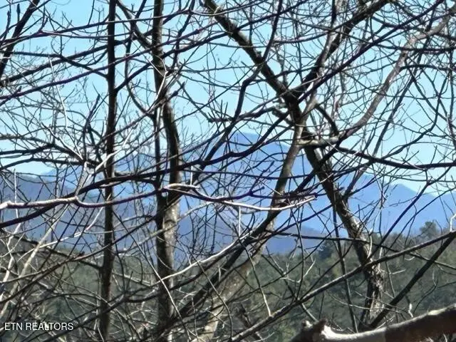 864 Stonegate Way, Townsend, TN 37882 - Image #3