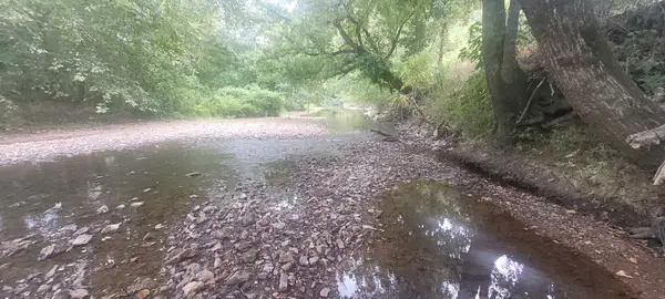 5641 New Highway 7, Santa Fe, TN 38482