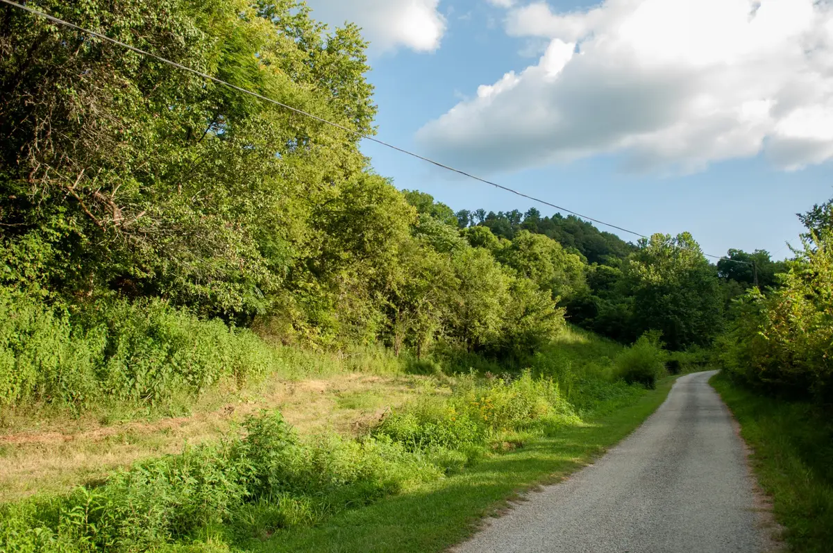 0 Nabors Hollow Ln, Hickman, TN 38567 - Image #1