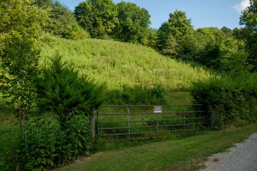 0 Nabors Hollow Ln, Hickman, TN 38567 - Image #2