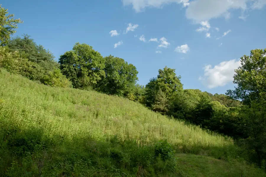 0 Nabors Hollow Ln, Hickman, TN 38567 - Image #3