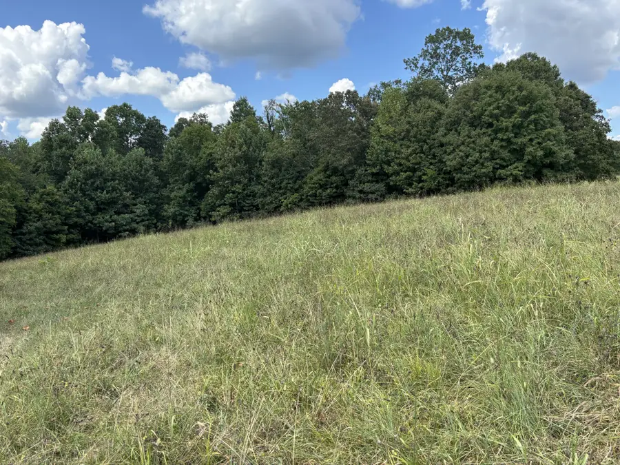 0 Highway 7 Lot 25, Lyles, TN 37098 - Image #2