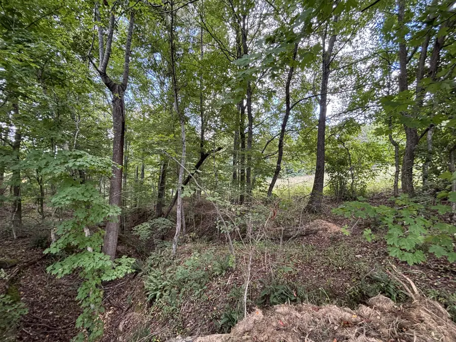 0 Highway 7 Lot 25, Lyles, TN 37098 - Image #3