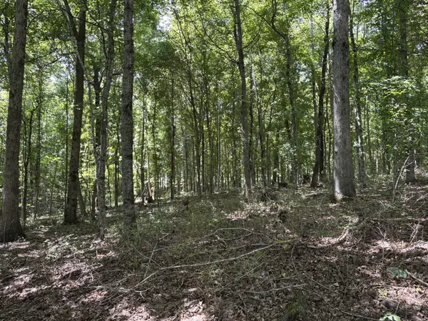 0 Middle Lick Creek Rd, Lyles, TN 37098