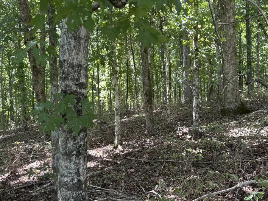 0 Middle Lick Creek Rd, Lyles, TN 37098 - #3