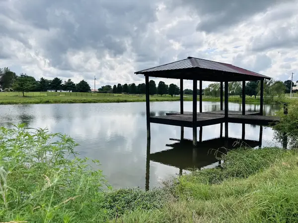 3908 Fykes Grove Rd, Cedar Hill, TN 37032