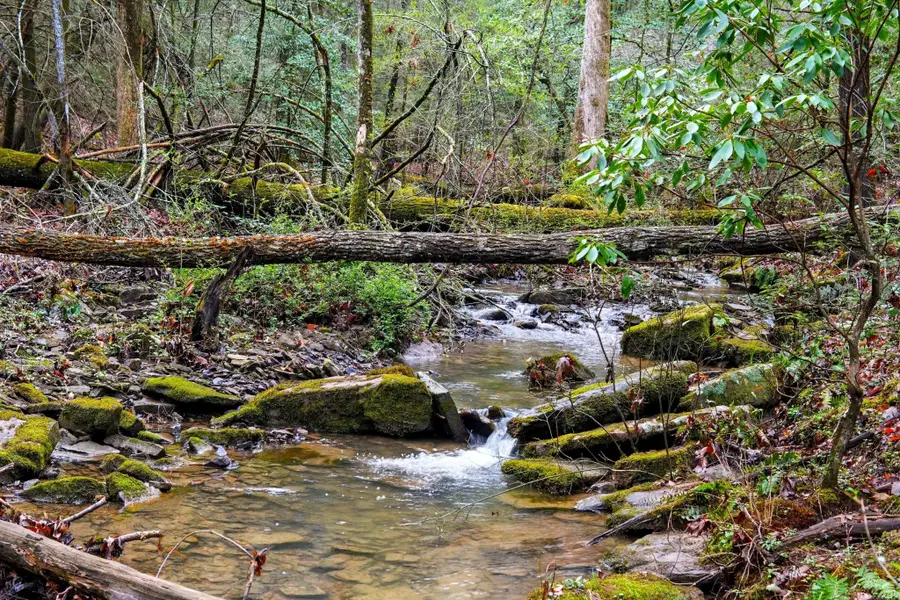 2424 Corral Road, Signal Mountain, TN 37377 - Image #3