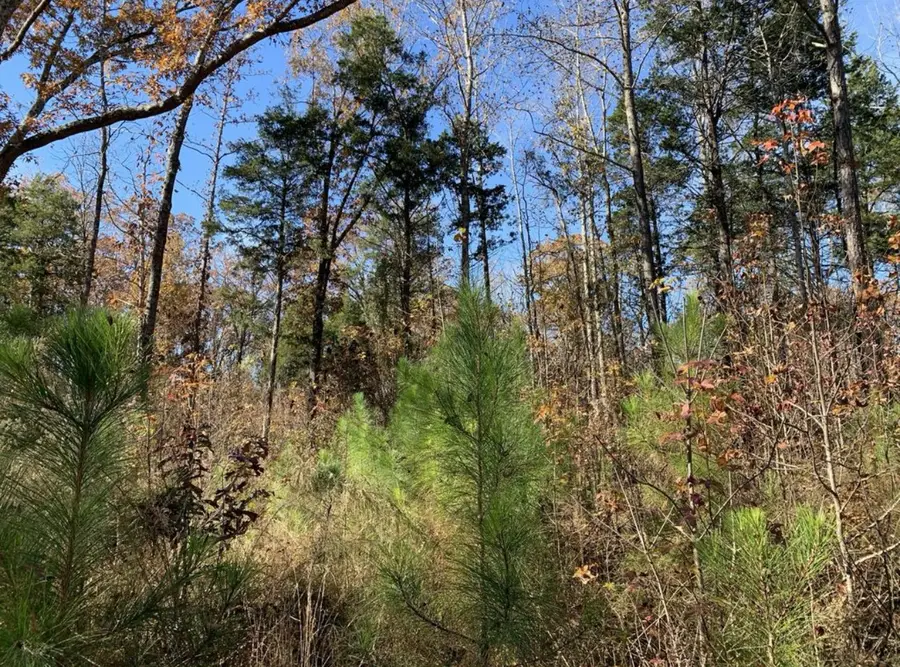 0 Kelly Ln, Medon, TN 38356 - Image #3