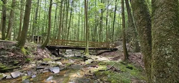 0 Oak Leaf Lane, Dunlap, TN 37327