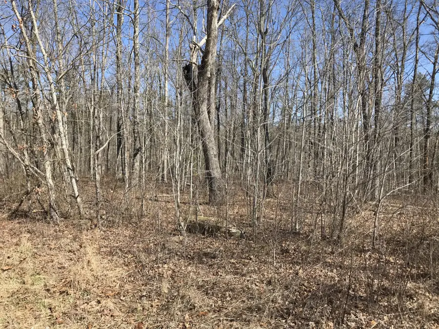 3 Deerhead Road, Dunlap, TN 37327 - Image #2