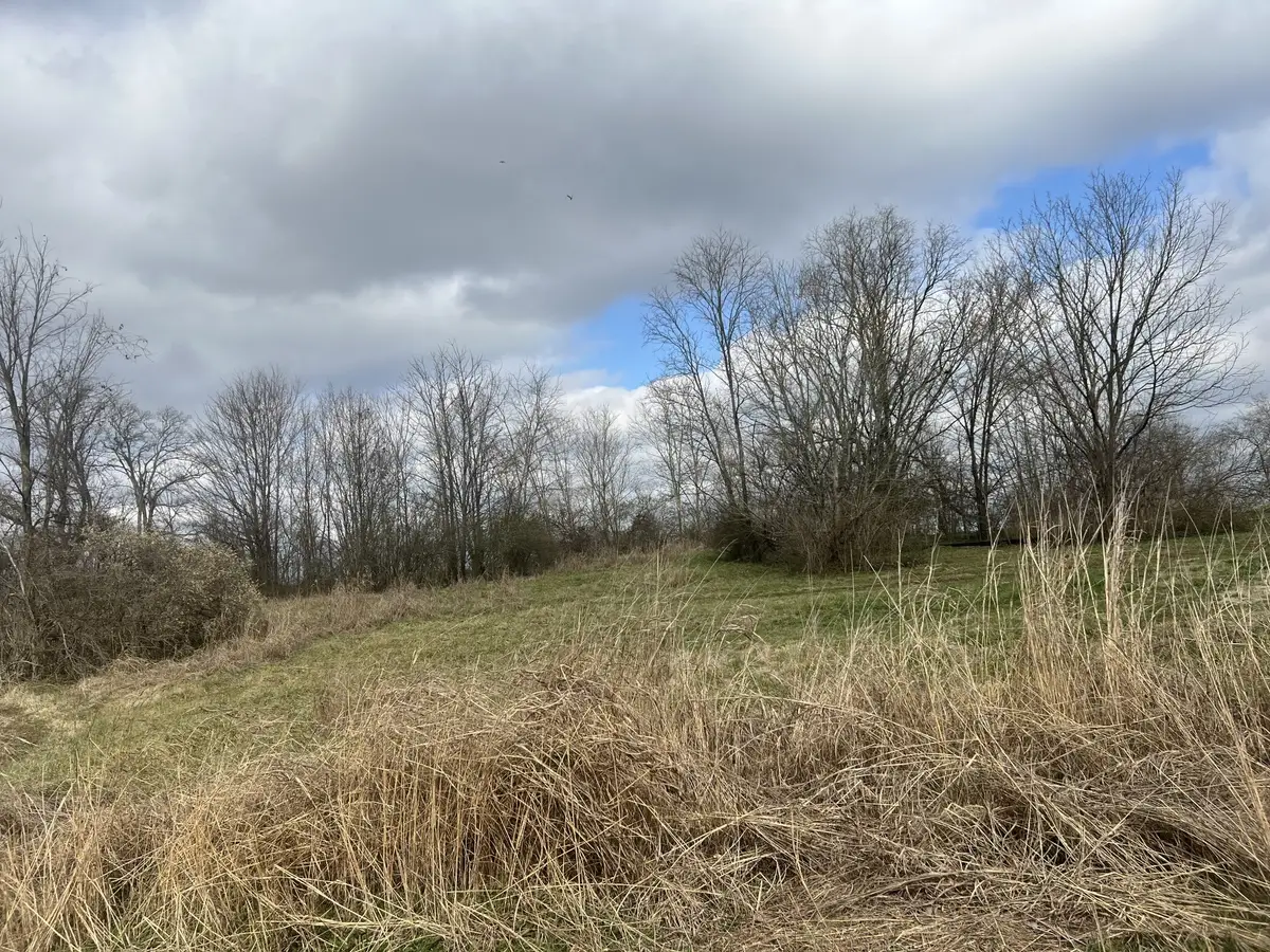 917 1st Ave, Mount Pleasant, TN 38474 - Image #1