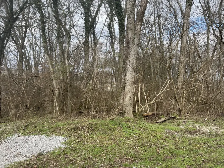 917 1st Ave, Mount Pleasant, TN 38474 - Image #3