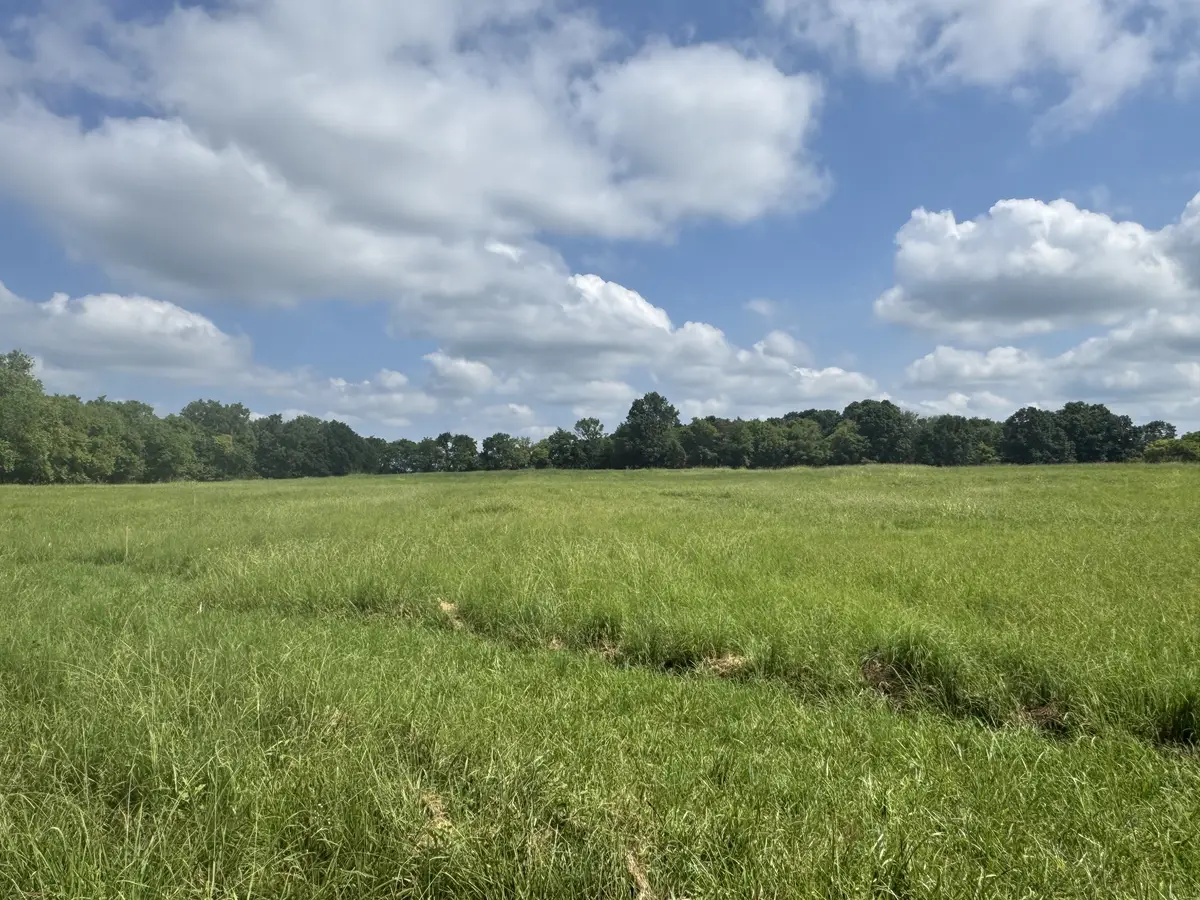 0 Patrick St, Lebanon, TN 37087 - #1