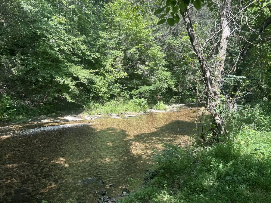 1775 Old Beech Creek Rd, Waynesboro, TN 38485 - Image #3