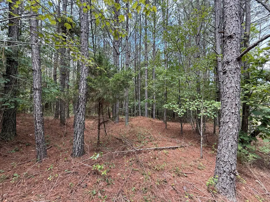 468 Seiber Ridge Rd, Hohenwald, TN 38462 - Image #2