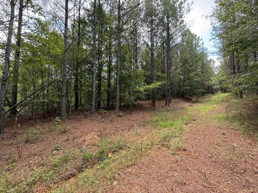 468 Seiber Ridge Rd, Hohenwald, TN 38462 - Image #3