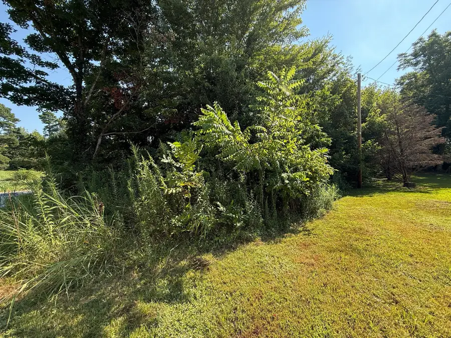 36 Morris Ct, McKenzie, TN 38201 - Image #2