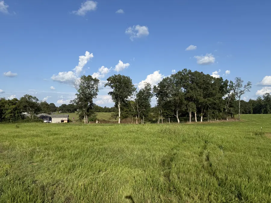 1 Beartown Rd, Loretto, TN 38469 - Image #2