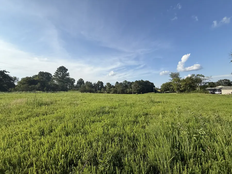 1 Beartown Rd, Loretto, TN 38469 - Image #3