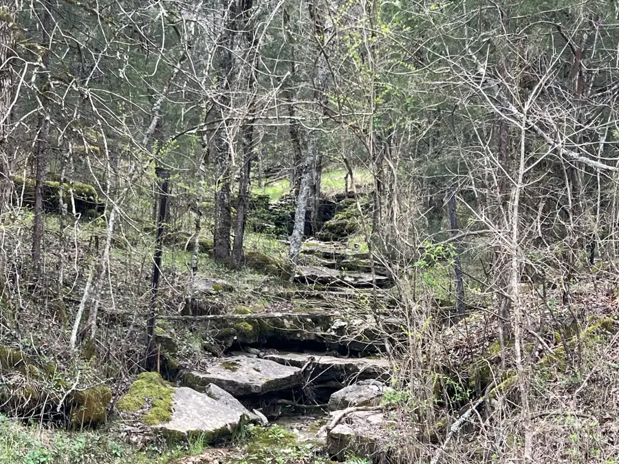 0 Turkey Branch Rd, Liberty, TN 37095 - Image #3